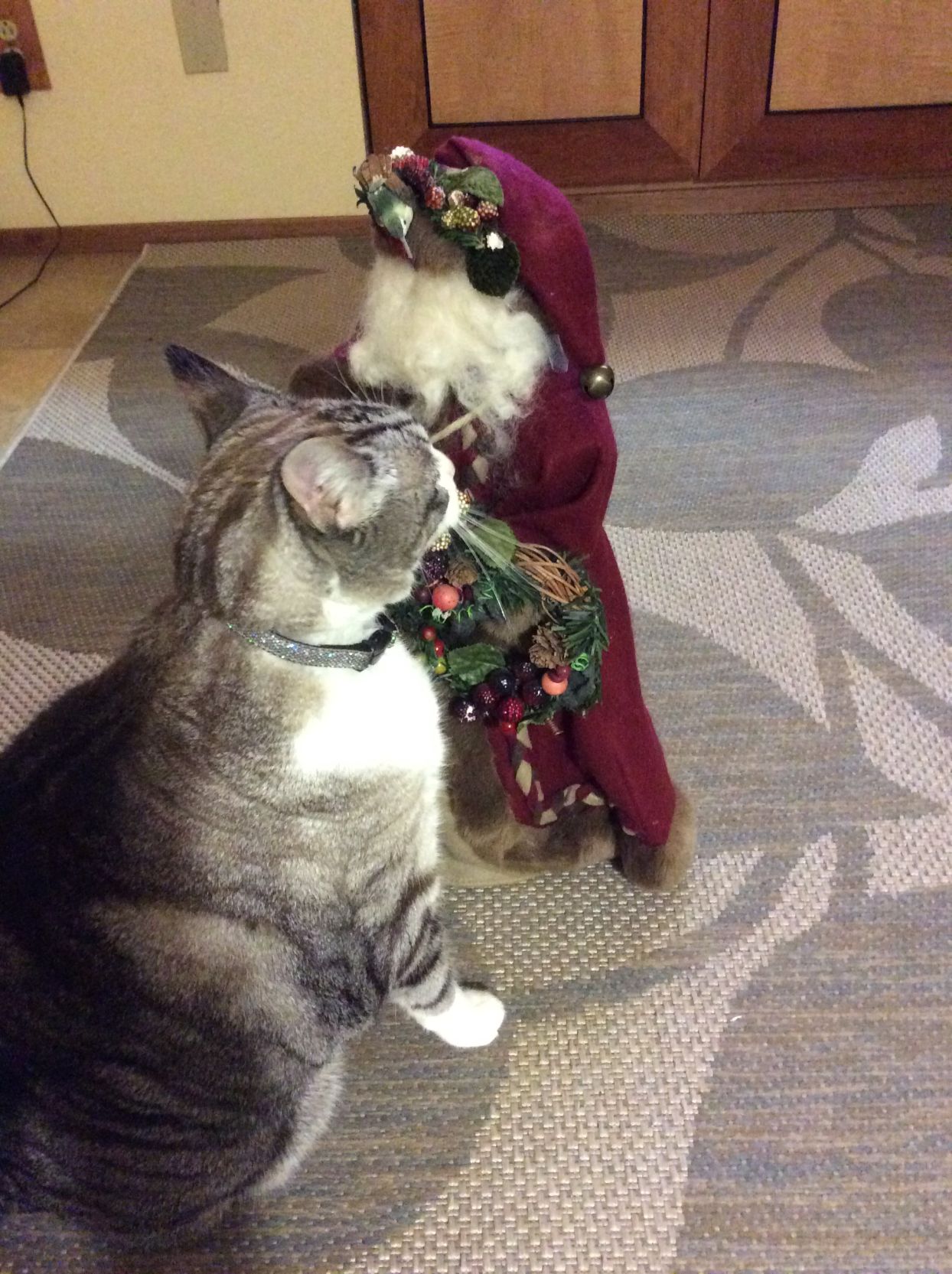 Christmas Cats